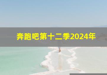 奔跑吧第十二季2024年