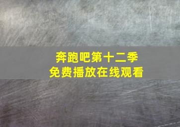 奔跑吧第十二季免费播放在线观看