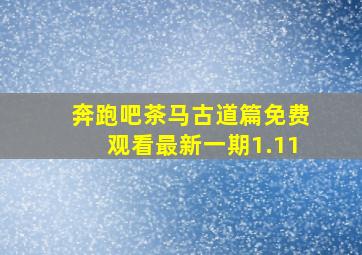 奔跑吧茶马古道篇免费观看最新一期1.11