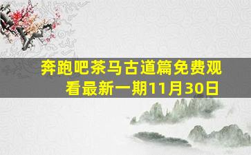 奔跑吧茶马古道篇免费观看最新一期11月30日