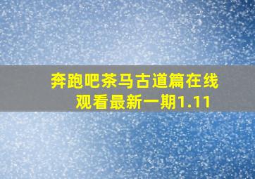 奔跑吧茶马古道篇在线观看最新一期1.11