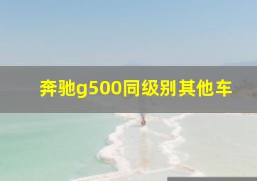 奔驰g500同级别其他车