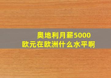 奥地利月薪5000欧元在欧洲什么水平啊