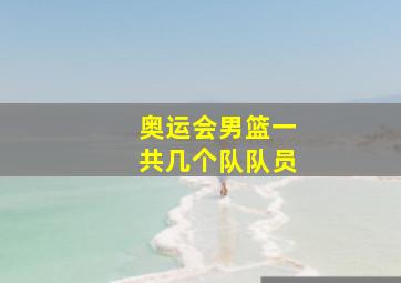 奥运会男篮一共几个队队员