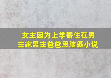 女主因为上学寄住在男主家男主爸爸患脑癌小说