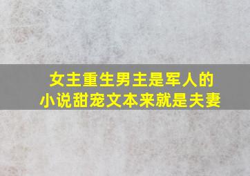 女主重生男主是军人的小说甜宠文本来就是夫妻