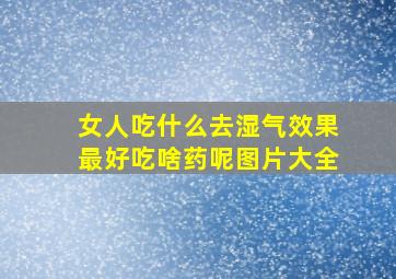 女人吃什么去湿气效果最好吃啥药呢图片大全