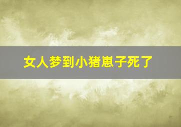 女人梦到小猪崽子死了