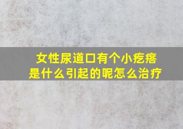 女性尿道口有个小疙瘩是什么引起的呢怎么治疗