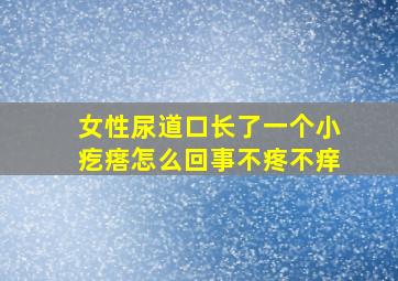 女性尿道口长了一个小疙瘩怎么回事不疼不痒