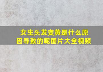 女生头发变黄是什么原因导致的呢图片大全视频