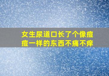 女生尿道口长了个像痘痘一样的东西不痛不痒