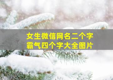 女生微信网名二个字霸气四个字大全图片