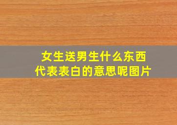 女生送男生什么东西代表表白的意思呢图片