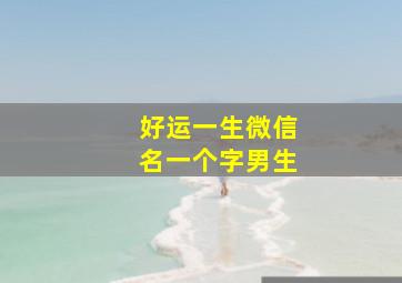 好运一生微信名一个字男生