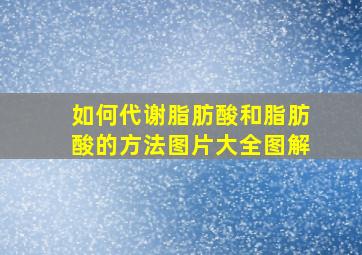 如何代谢脂肪酸和脂肪酸的方法图片大全图解