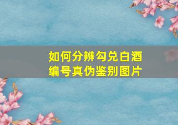 如何分辨勾兑白酒编号真伪鉴别图片