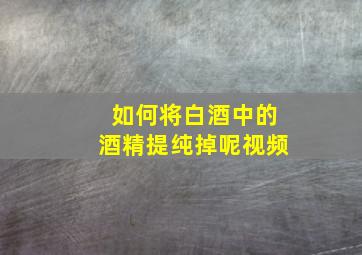 如何将白酒中的酒精提纯掉呢视频