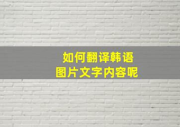 如何翻译韩语图片文字内容呢