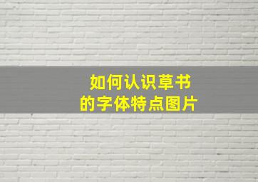 如何认识草书的字体特点图片