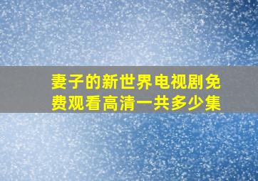 妻子的新世界电视剧免费观看高清一共多少集