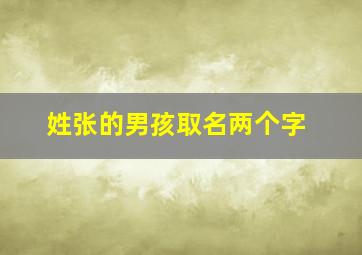 姓张的男孩取名两个字