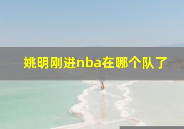 姚明刚进nba在哪个队了