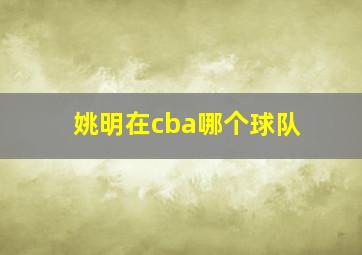 姚明在cba哪个球队