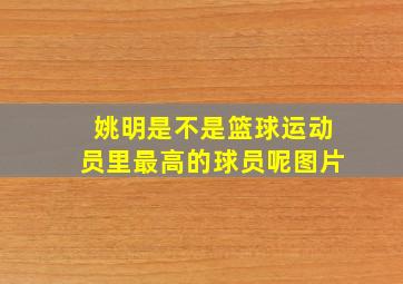 姚明是不是篮球运动员里最高的球员呢图片