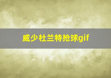 威少杜兰特抢球gif