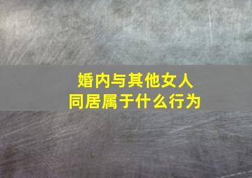 婚内与其他女人同居属于什么行为