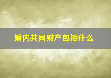 婚内共同财产包括什么