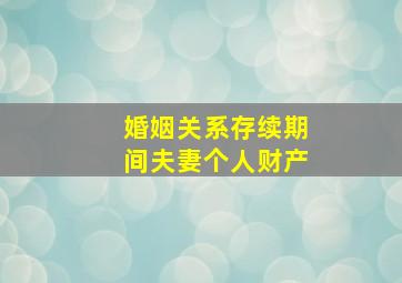 婚姻关系存续期间夫妻个人财产