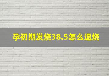 孕初期发烧38.5怎么退烧