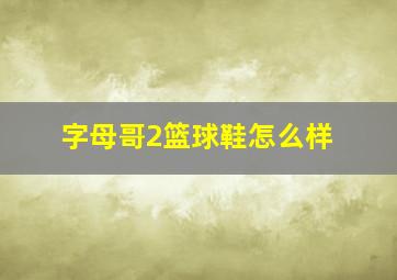 字母哥2篮球鞋怎么样