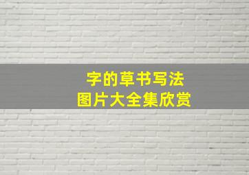 字的草书写法图片大全集欣赏