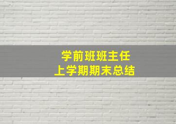 学前班班主任上学期期末总结