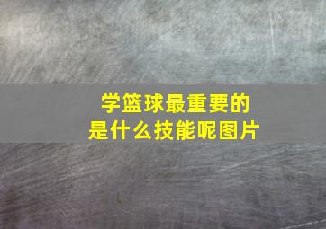 学篮球最重要的是什么技能呢图片