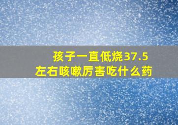 孩子一直低烧37.5左右咳嗽厉害吃什么药