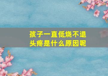 孩子一直低烧不退头疼是什么原因呢