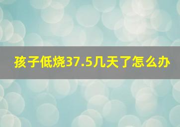 孩子低烧37.5几天了怎么办