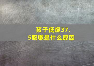 孩子低烧37.5咳嗽是什么原因