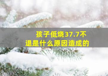 孩子低烧37.7不退是什么原因造成的