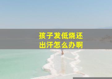 孩子发低烧还出汗怎么办啊