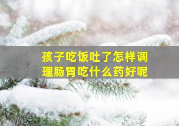 孩子吃饭吐了怎样调理肠胃吃什么药好呢