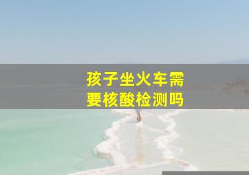 孩子坐火车需要核酸检测吗