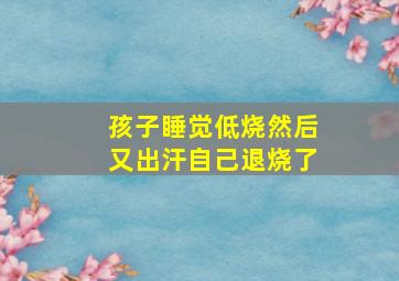 孩子睡觉低烧然后又出汗自己退烧了