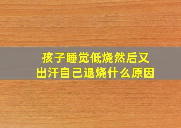 孩子睡觉低烧然后又出汗自己退烧什么原因