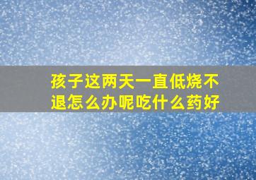 孩子这两天一直低烧不退怎么办呢吃什么药好