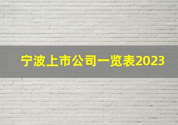 宁波上市公司一览表2023